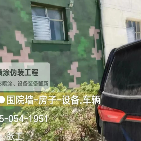 吉安数码迷彩漆施工